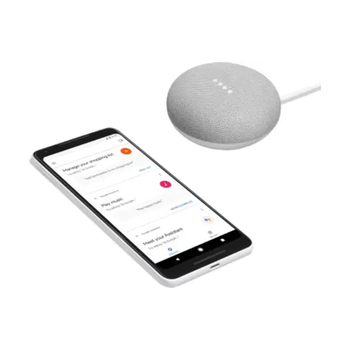 Google Home Mini Smart Speaker Gray